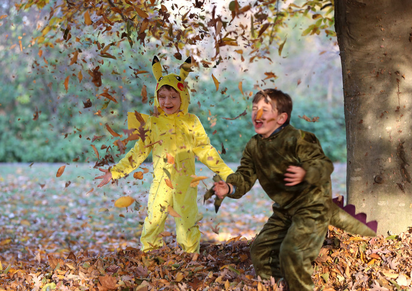 Photographer of the Year - Small Market - First Place, Shane Flanigan / ThisWeek Community NewsFive-year-olds Sam Campbell (left) of Powell and Charlie Skelton, of Dublin play in a pile of leaves during the Ohio Wildlife Center's Howloween event in Powell. 