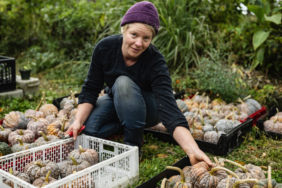 Feature Picture Story - 3rd, “Symphony of Soil”Lindsay A. Klaunig, 39, of Toledo, arranges Japanese futsu pumpkins before passing them to non-profit organization Rural Action for sale at the Chesterhill Produce Auction, in Trouvaille Farm in the unincorporated community of Shade, Ohio, on Monday, October 16, 2023. Halfway through the growing season, Klaunig noticed half-types among the pumpkins, and seed company Hudson Valley Seeds ultimately decided to cancel the contract with her farm.  (Loriene Perera / Ohio University)