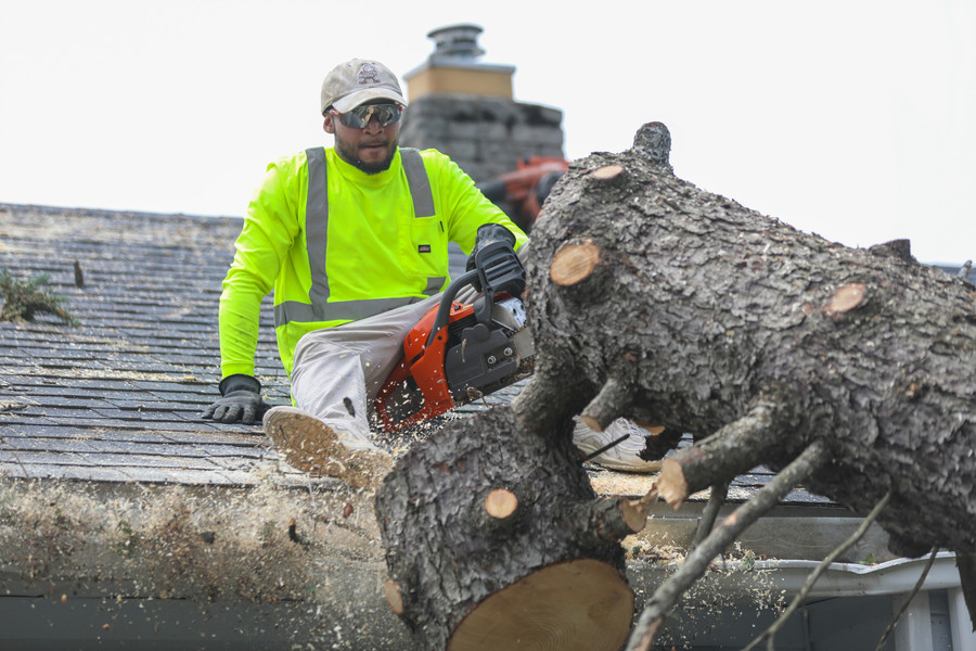 News Picture Story - 2nd, “Tornado”Devon Tufts with Summit Bonsai cuts a tree that was leaning on a house on Ottawa River Road on Saturday, June 17, 2023 in Toledo. (Jonathan Aguilar / The Blade)