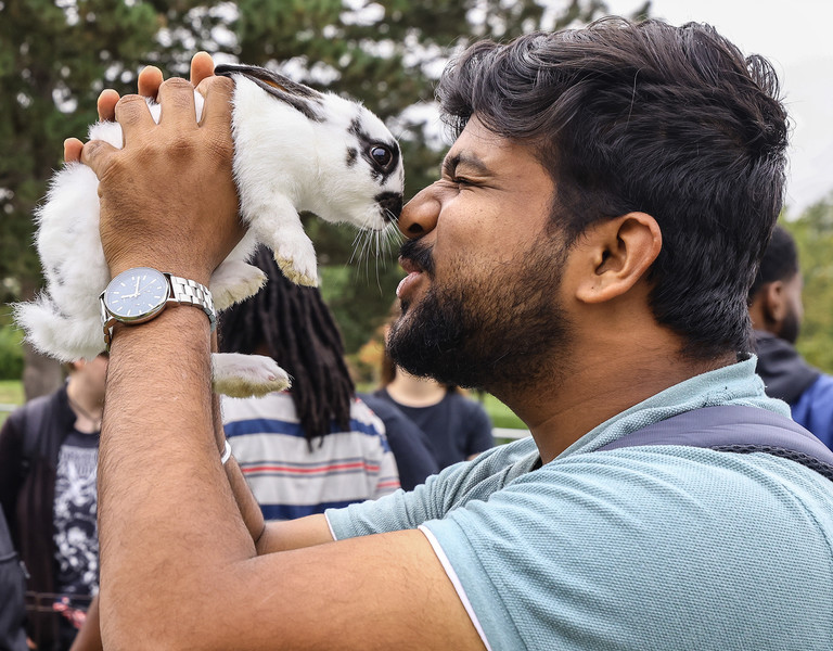 1st - Photographer of the Year - Large Market Graduate student Shubham Shinde rubs noses with a rabbit at a petting zoo set up on the Memorial Field House Lawn as part of Homecoming Week Wednesday, September 27, 2023, at the University of Toledo. (Jeremy Wadsworth / The Blade)