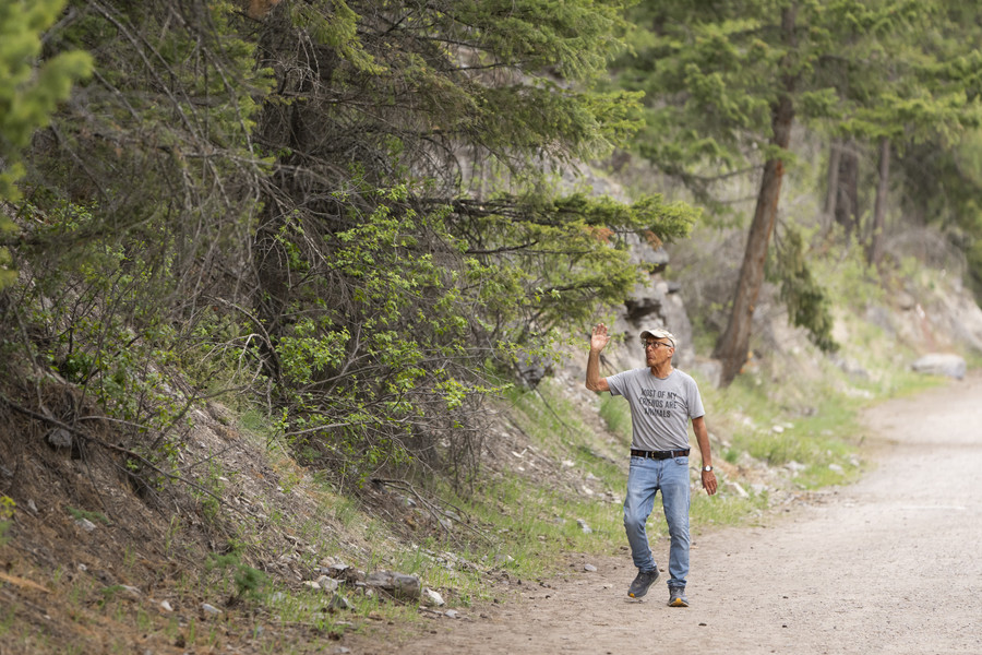 3rd - Photographer of the Year - Large Market Jack Hanna stops to thank, pray for, or touch every tree he can reach as he takes his daily walk along the Bigfork Nature Trail near his Montana home on May 2.  (Adam Cairns / The Columbus Dispatch)
