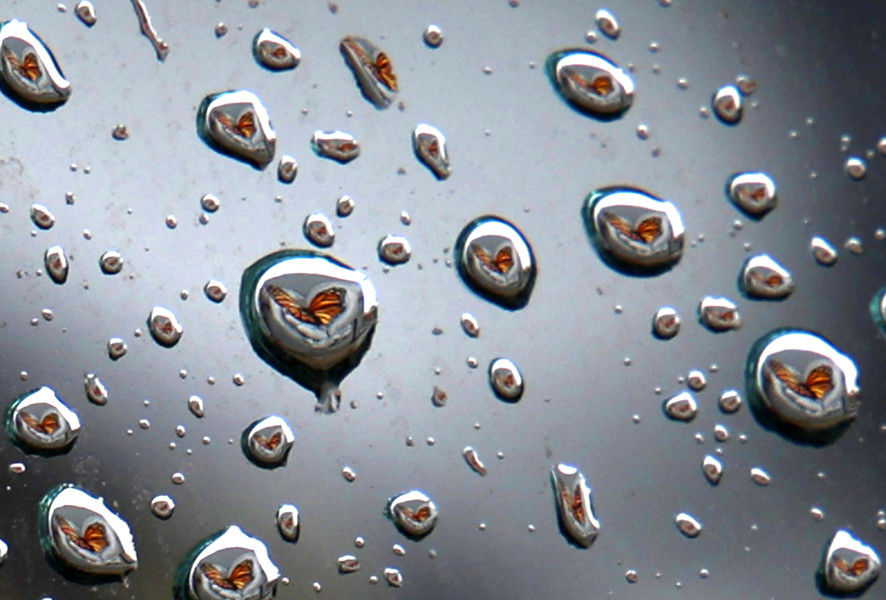 First Place, Photographer of the Year - Small Market - Bill Lackey / Springfield News-SunThe "Transformation" butterfly mural on the back of the State Theater is reflected in the tiny drops of water on a car window Wednesday, Jan. 24, 2024. 