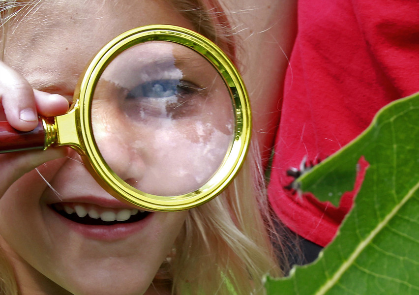 First Place, Photographer of the Year - Small Market - Bill Lackey / Springfield News-SunKate Williamson, 6, uses a magnifying glass to check out a fuzzy caterpillar munching on a plant in the pollinator garden at the Snyder Park Gardens and Arboretum Saturday, August 3, 2024 during the Garden Jubilee. 